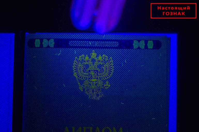 Matbaa ve Devlet standartlarında basılmış orijinal resmi Diploma arasındaki farklar