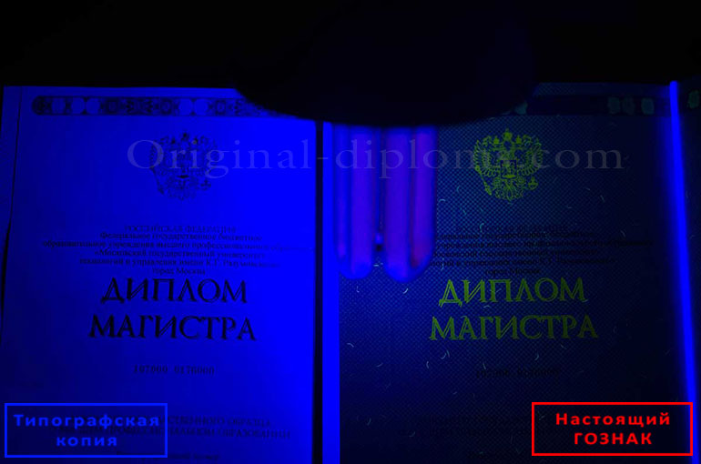 Matbaa ve Devlet standartlarında basılmış orijinal resmi Diploma arasındaki farklar