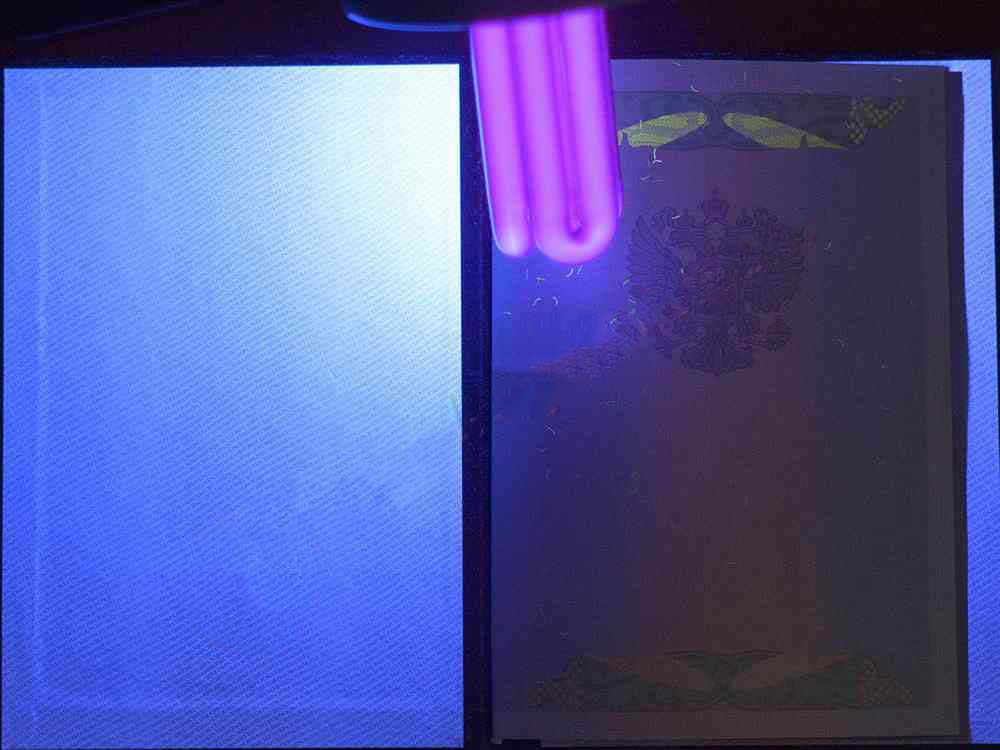 Lisans diploması 2009-2011