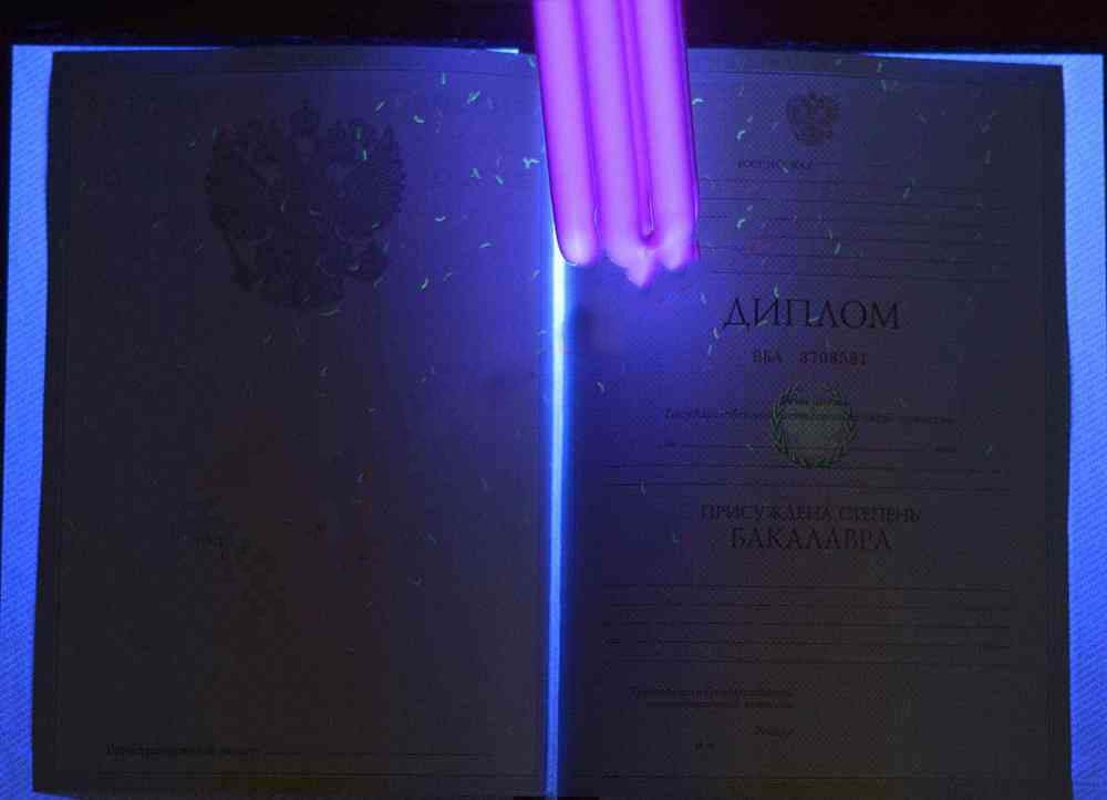 Lisans diploması 2009-2011