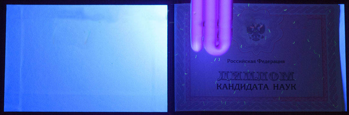 Bilim doktoru diploması 2007-2020