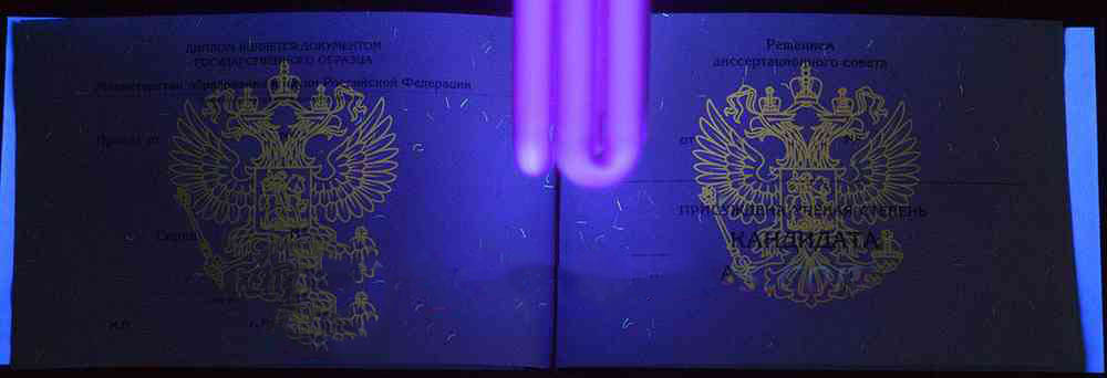 Bilim doktoru diploması 2007-2020