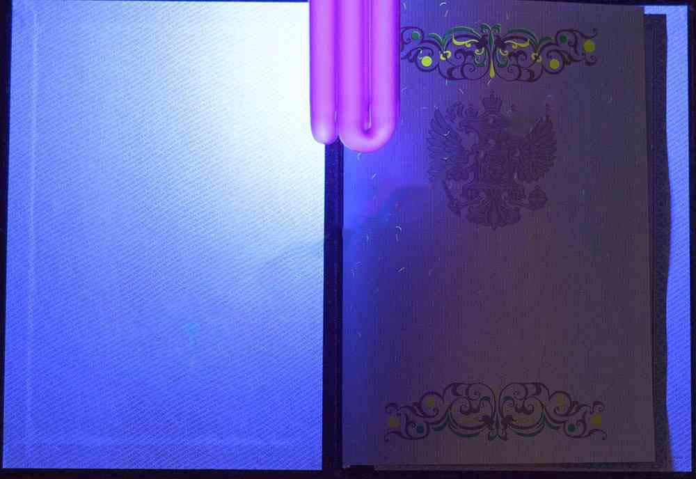 Yüksek lisans diploması 2011-2013