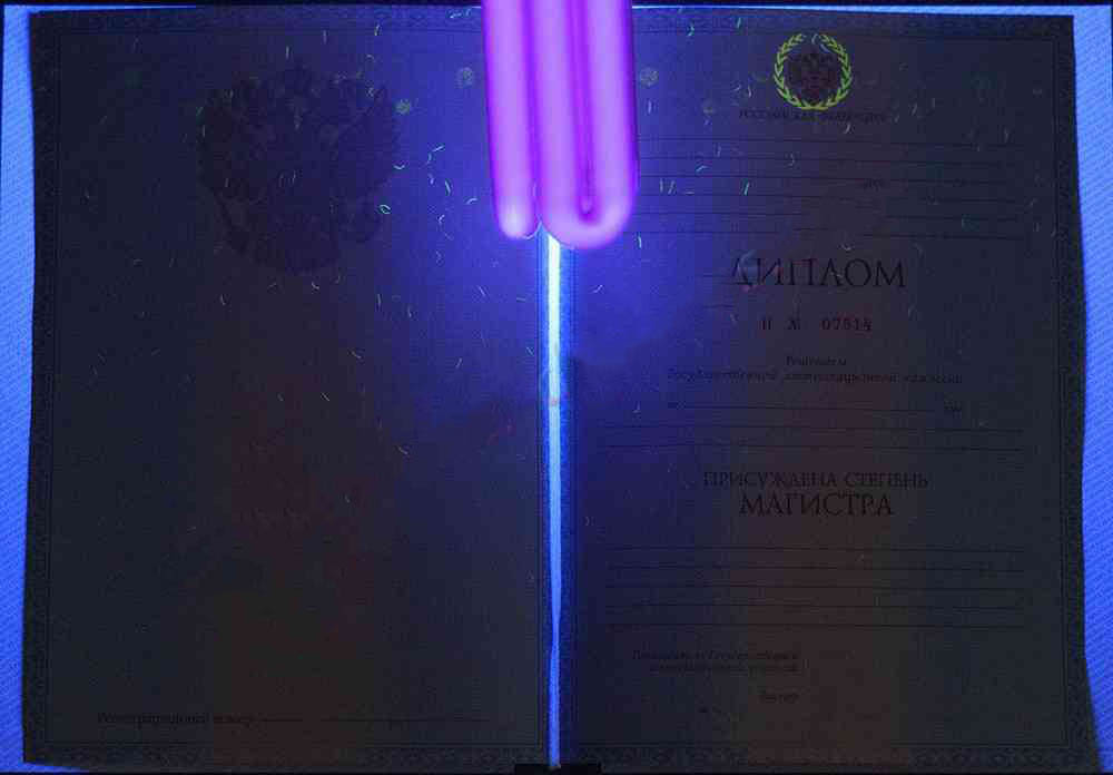 Yüksek lisans diploması 2011-2013