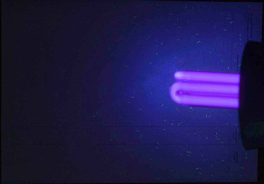 Okul, lise diploması 2007-2009