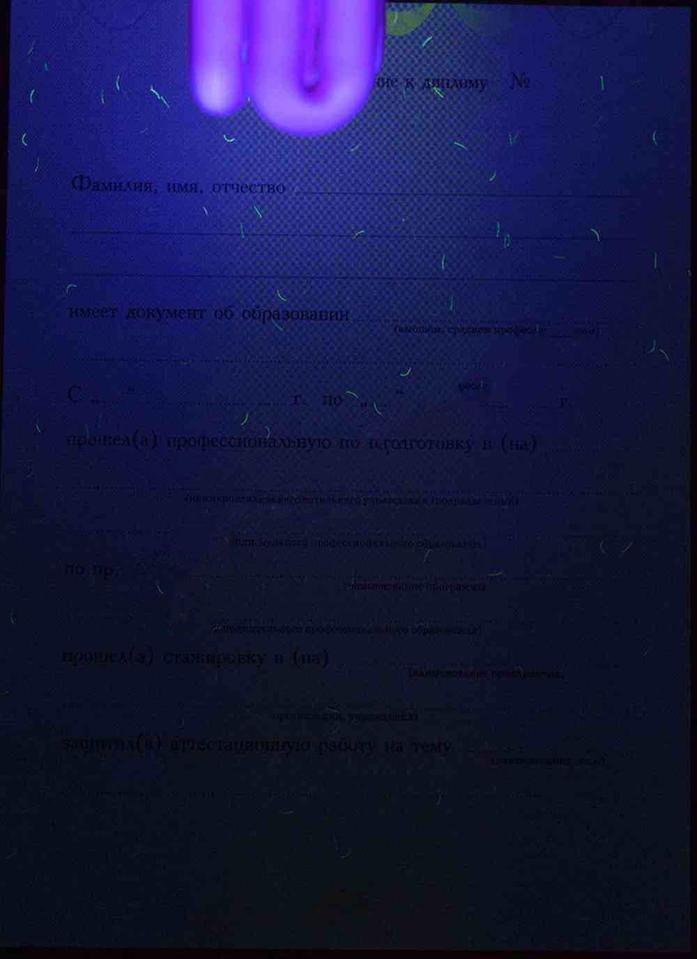 Yeniden eğitim diploması 2010