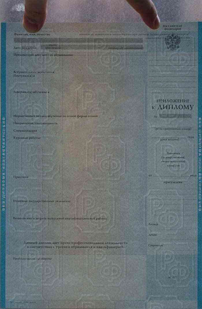 Uzman diploması 2004-2008