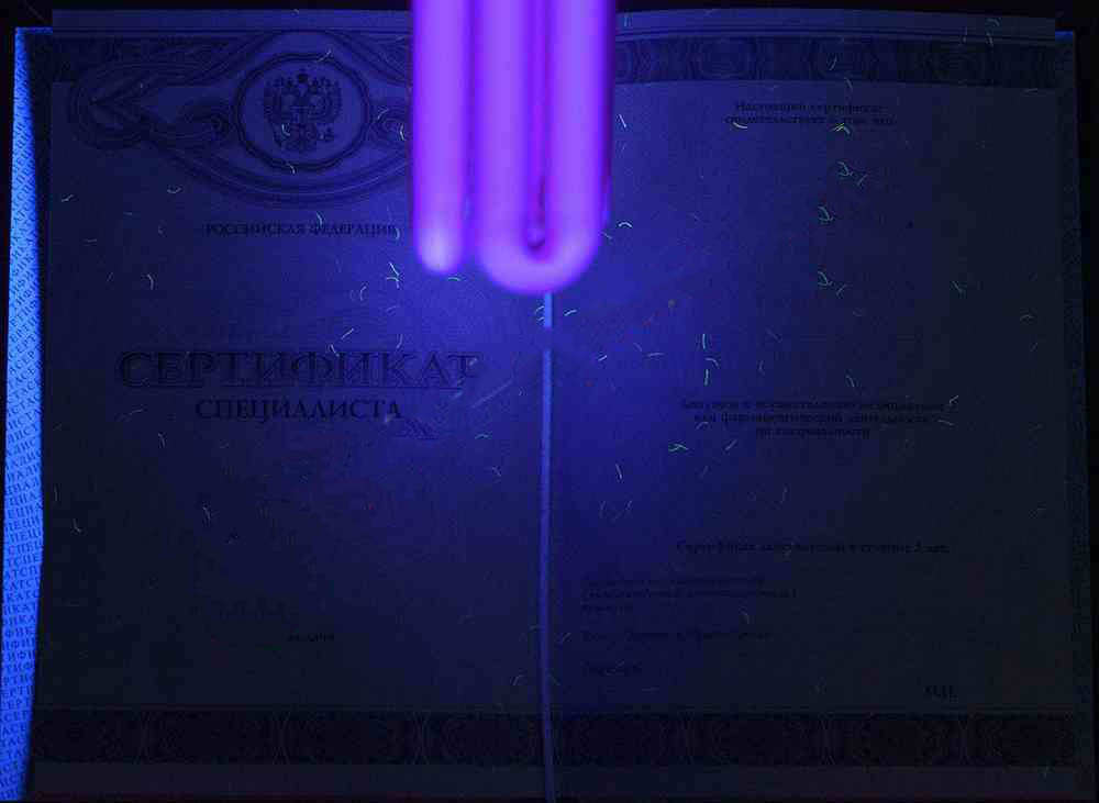 Tıbbi uzman sertifikası herhangi biri