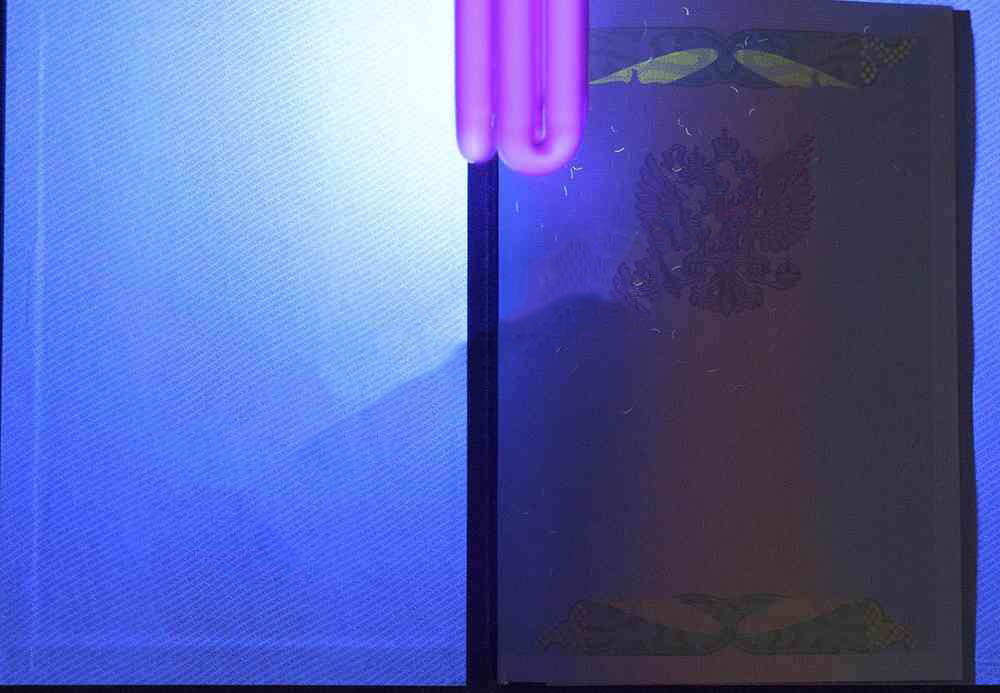 Uzman diploması 2004-2008