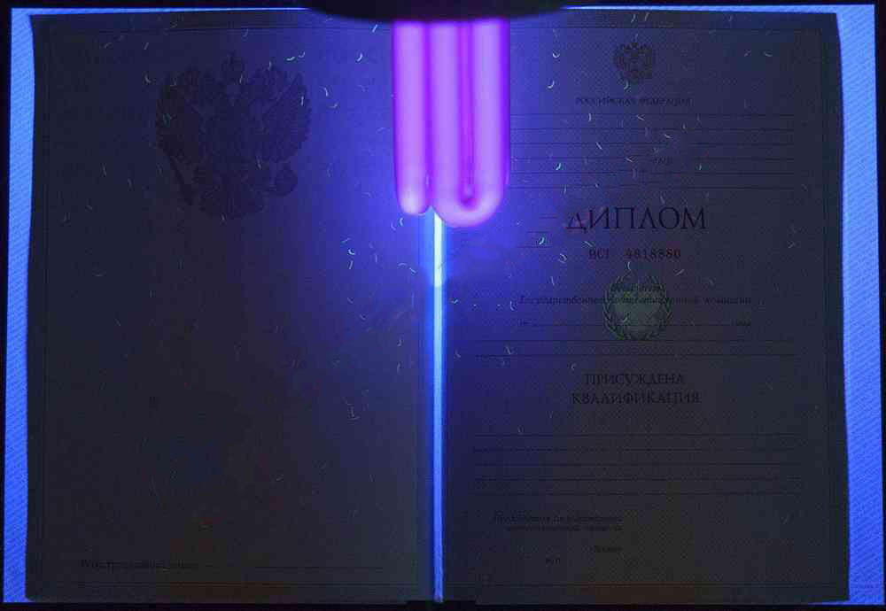 Uzman diploması 2004-2008