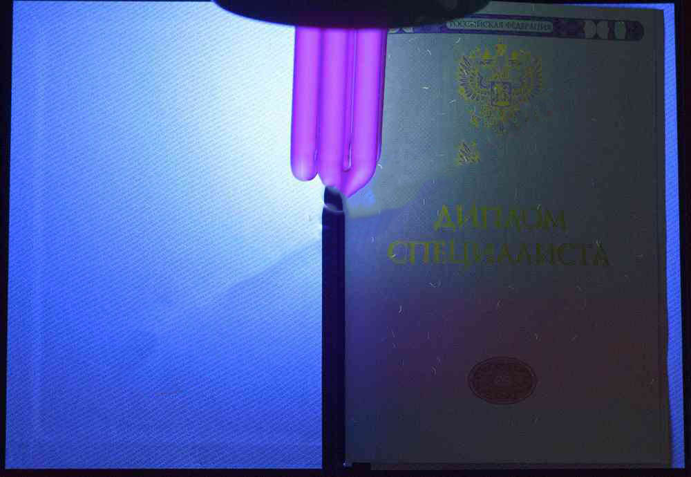 Lisans diploması 2014-2026