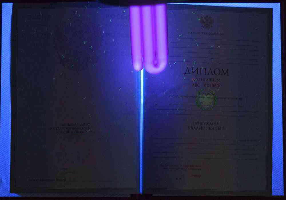 KIRMIZI uzman diploması (MÜKEMMEL) 1997-2003