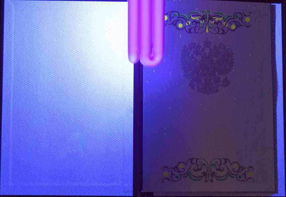 KIRMIZI uzman diploması (MÜKEMMEL) 2011-2013