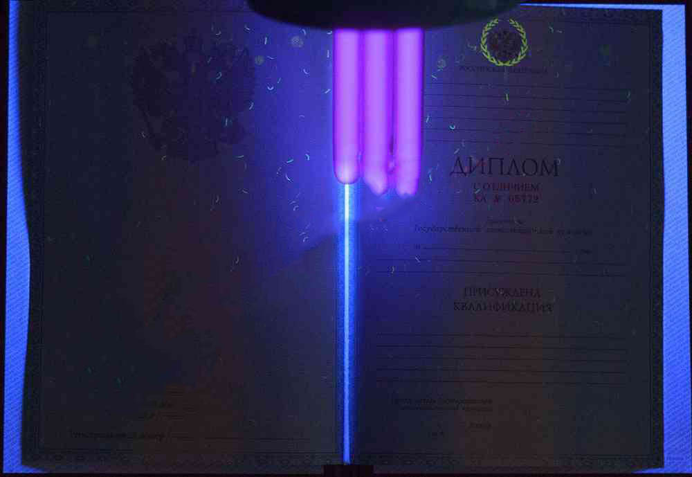 KIRMIZI uzman diploması (MÜKEMMEL) 2011-2013