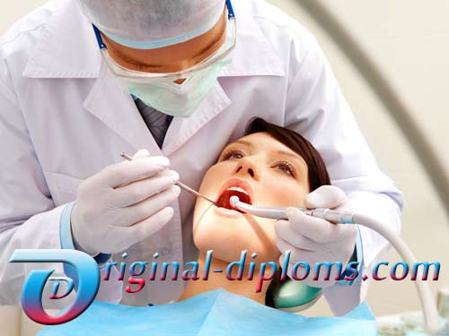 Diş hekimi diploması satın al.